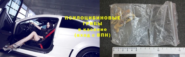 герыч Алексин