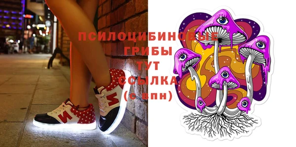 герыч Алексин